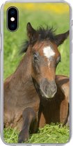 Geschikt voor iPhone Xs hoesje - Paarden - Licht - Gras - Siliconen Telefoonhoesje