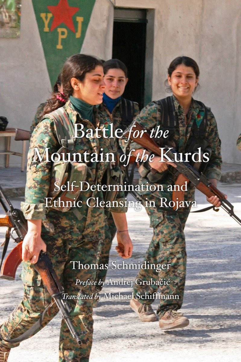 Battle For The Mountain Of The Kurds - Thomas Schmidinger