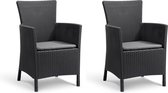 Allibert Iowa Chaise de jardin - 2 pièces - 62x60x89cm - Graphite