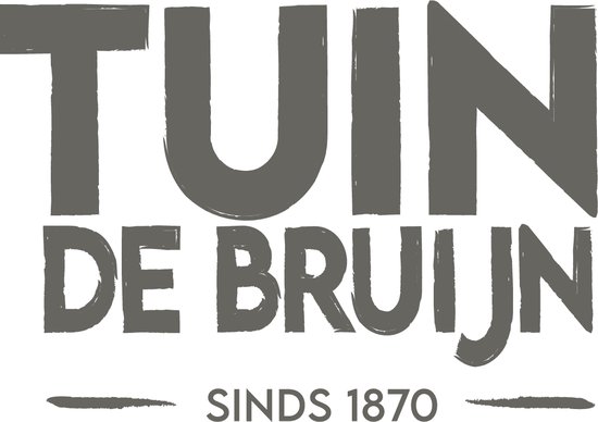 Graines Jardin de Bruijn® - Rose Soapwort - couvre-sol vivace - plant rampante - 180 graines