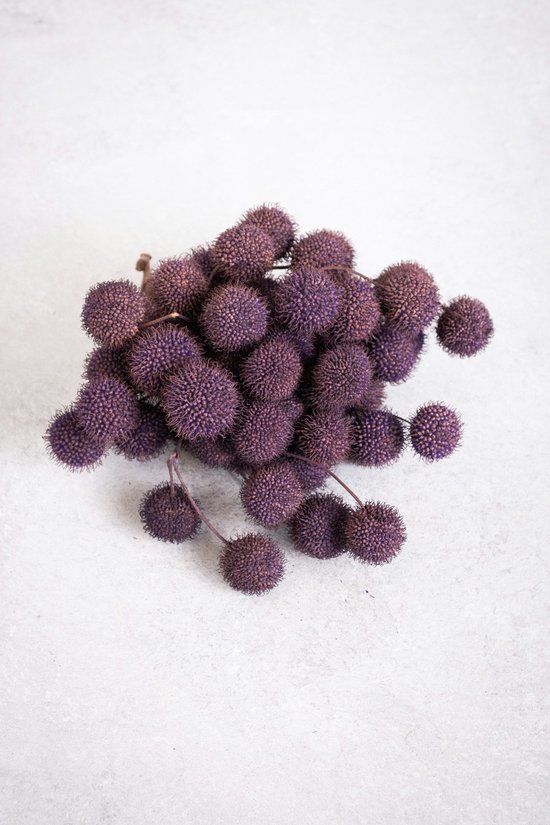 Couronne - Decoratiemateriaal 'Platan Balls' (250gr, Purple)
