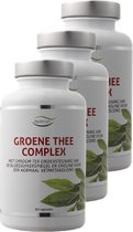 Nutrivian | Groene Thee Complex | 60 Capsules | 3 stuks | 3 x 60 capsules