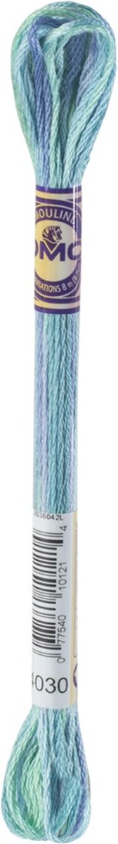 DMC Mouline Variations Nr. 4030 Borduurgaren
