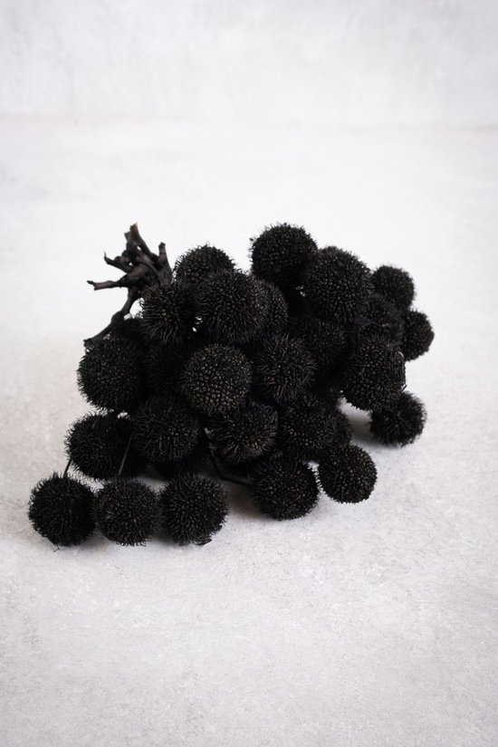 Couronne - Decoratiemateriaal 'Platan Balls' (250gr, Black)