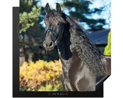 KitchenYeah® Inductie beschermer 78x78 cm - Zon - Fries - Paard - Kookplaataccessoires - Afdekplaat voor kookplaat - Inductiebeschermer - Inductiemat - Inductieplaat mat