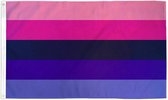 Omnisexual Pride vlag 90x150 cm - Polyester - 2 ophangringen - Omni flag