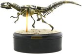 Tyrannosaurus Rex Fossiel Miniatuur - Prehistorie - Skelet - Geschiedenis - Dinosaurus - Dino - T-rex