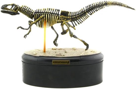 Tyrannosaurus Rex Fossiel Miniatuur - Prehistorie - Skelet - Geschiedenis - Dinosaurus - Dino - T-rex