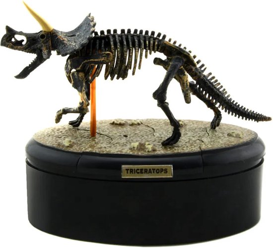 Triceratops Fossiel Miniatuur - Prehistorie - Skelet - Geschiedenis - Dinosaurus - Dino