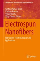 Springer Series on Polymer and Composite Materials - Electrospun Nanofibers