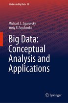 Studies in Big Data 58 - Big Data: Conceptual Analysis and Applications