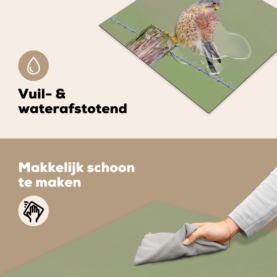 Een torenvalk zit op een houten paaltje met prikkeldraad. Vuil- & waterafstotend.