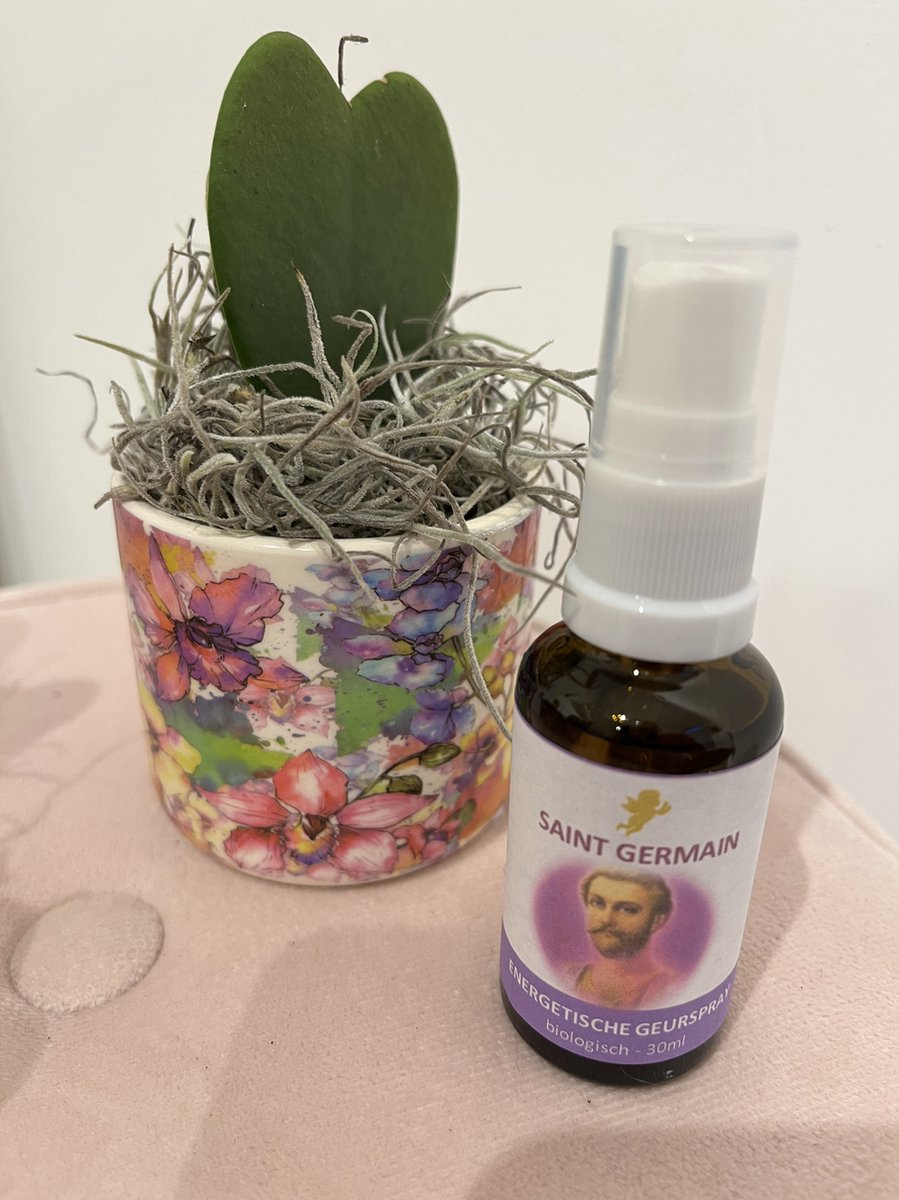 Goedkoopste Beschermingsspray Saint Germain Violette Vuur - 30ml
