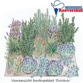 Borderpakket 'Duintuin' - kustplanten - 16 vaste planten - 4 m²