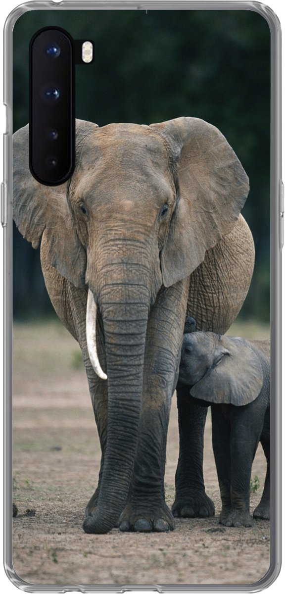 Telefoonhoesje Geschikt voor OnePlus Nord hoesje - Olifant - Dieren - Vlakte - Natuur - Siliconen Telefoonhoesje Telefoonhoesje