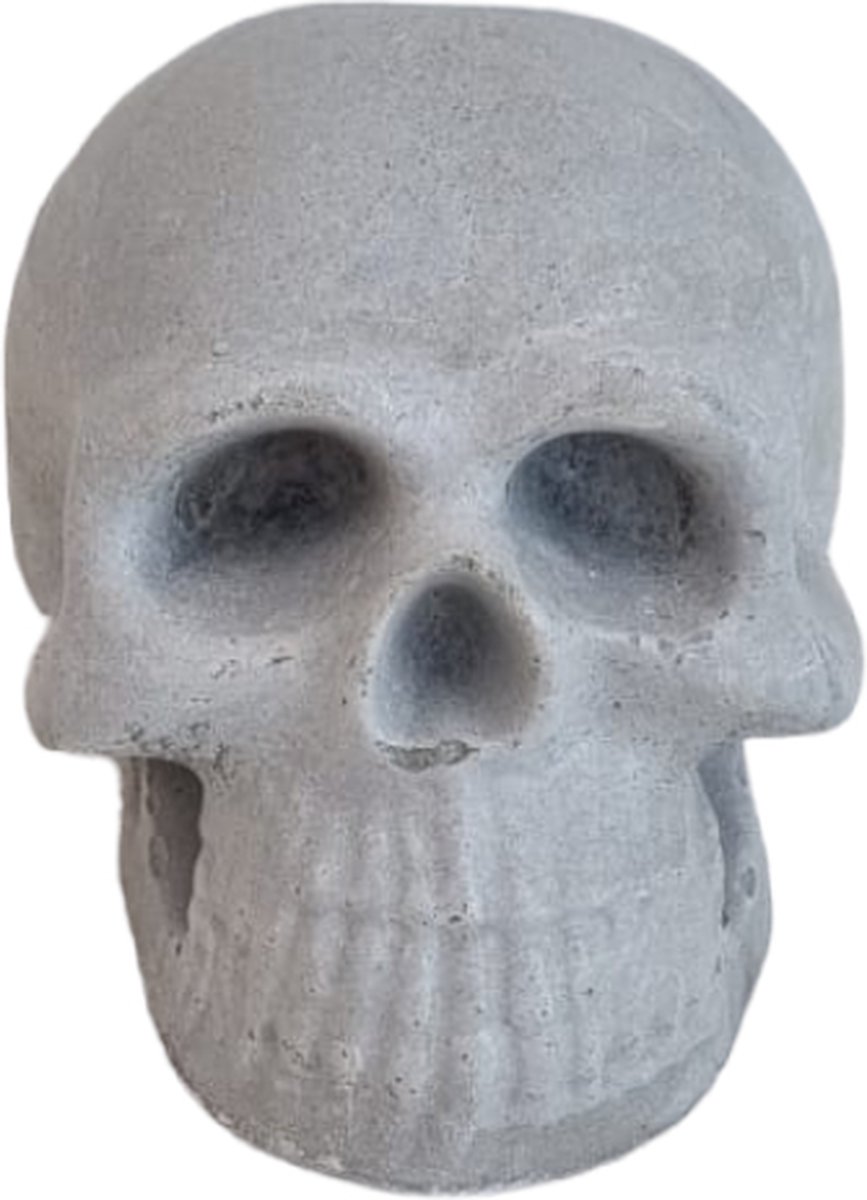 MGM - Betonnen Schedel - Decoratie - Skull - Cement - Onbewerkt - 8 Cm Hoog - 1 Stuk