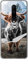 Geschikt voor OnePlus 7 Pro hoesje - Schotse hooglander - Koe -Dieren - Siliconen Telefoonhoesje