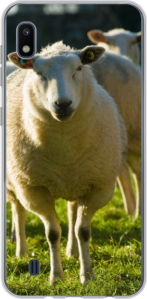 Telefoonhoesje Geschikt voor Samsung Galaxy A10 hoesje - Schapen - Dieren - Wol - Siliconen Telefoonhoesje Telefoonhoesje