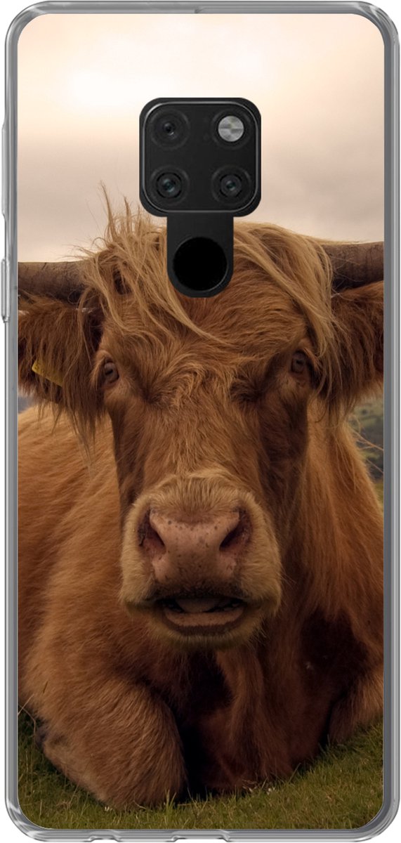 Telefoonhoesje Geschikt voor Huawei P40 Lite hoesje - Schotse Hooglander - Dieren - Berg - Siliconen Telefoonhoesje Telefoonhoesje
