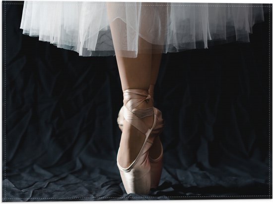 Vlag - Ballerina - Balet - Schoenen - Dansen - 40x30 cm Foto op Polyester Vlag