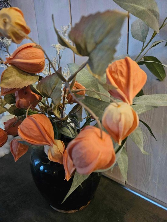Kunstbloem Physalis lampionplant zacht oranje 54cm