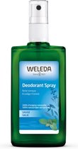 Weleda 4001638099271 déodorant Déodorant spray 100 ml 1 pièce(s)