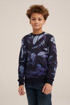 WE Fashion Jongens sweater met dessin