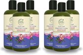 Petal Fresh - Color Protection Conditioner Pomegranate & Açai - 475ml - 6 Pak - Voordeelverpakking