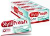 Chewing-gum sans sucre Xylifresh - Menthe poivrée - Carton de 24 sachets