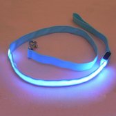 Finnacle - Blauwe LED hondenriem | Voor zichtbare wandelingen met uw trouwe viervoeter