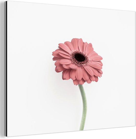 Décoration murale Métal - Peinture Aluminium Industriel - Fleurs - Rose - Nature - Wit - Plante - 160x120 cm - Dibond - Photo sur aluminium - Décoration murale industrielle - Pour le salon/chambre