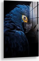 Wallfield™ - Blue Macaw | Glasschilderij | Gehard glas | 60 x 90 cm | Magnetisch Ophangsysteem
