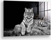 Wallfield™ - White Tiger | Glasschilderij | Gehard glas | 60 x 90 cm | Magnetisch Ophangsysteem