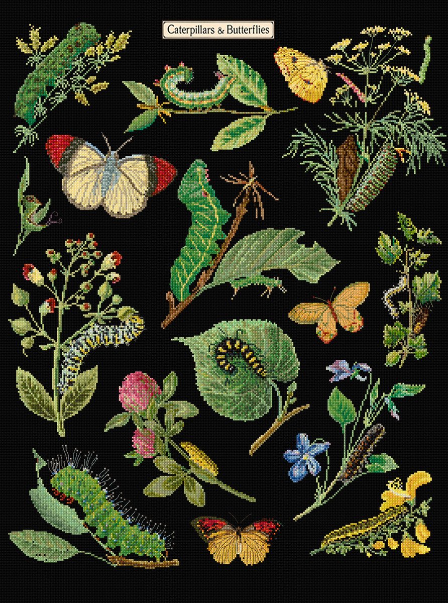 Kit Point De Croix Compté Thea Gouverneur - Nature Morte Avec Fleurs Dans Un Vase En Verre - Aida Noir 18 Fils