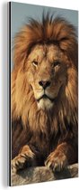 Décoration murale Métal - Peinture Aluminium - Lion - Rocher - Portrait - 40x80 cm