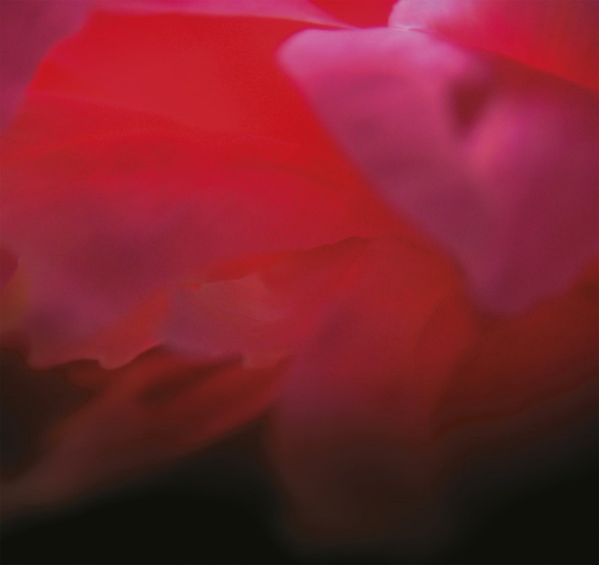 Ignis Fatuus - In Our Mad Bliss (CD)