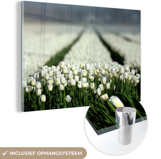 MuchoWow® Glasschilderij 150x100 cm - Schilderij acrylglas - Close-up van een veld vol met witte tulpen - Foto op glas - Schilderijen