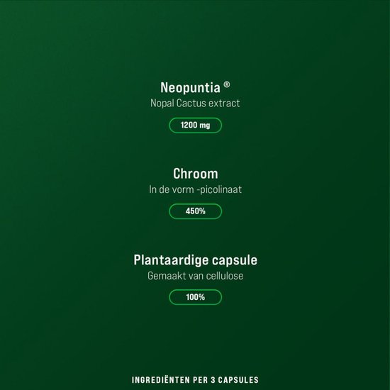 Deze 5 aromatische kruiden zijn het gemakkelijkst te kweken en te telen