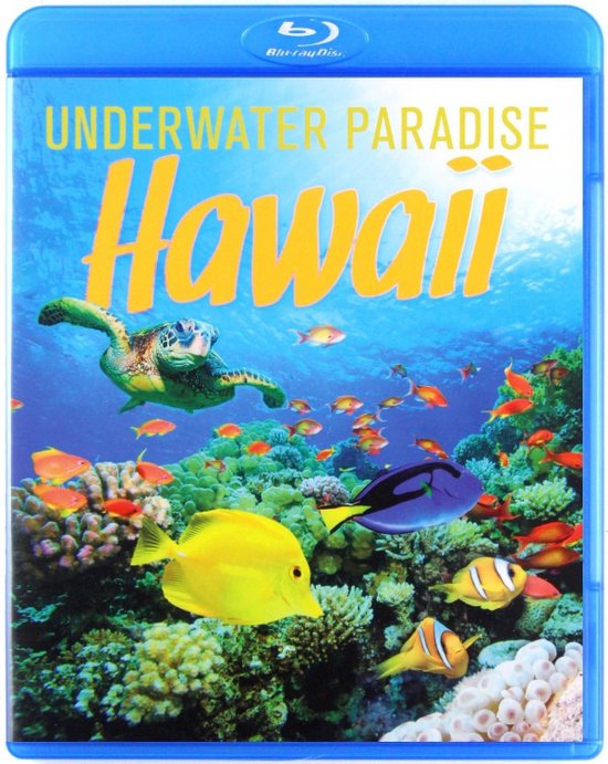 Underwater Paradise Hawaii
