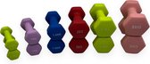 Padisport - Dumbell Neopreen Set 0,5 T/m 3 Kg - Gewichten Set Halters - Mix - Gewichten - Dumbellset - Halterset - Gewichtjes Set - Gewichten Set