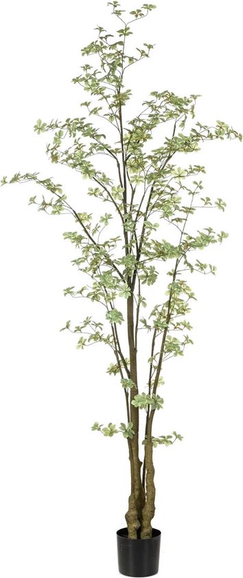 Emerald - Kunstboom Tropaeolum 245cm - Kunstplanten voor binnen