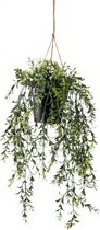 Emerald - Kunst Hangplant in pot Buxus 50cm - Kunstplant voor binnen