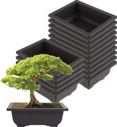 15 stuks grote bonsai-trainingstoppen, 22,5 x 16,5 x 7,5 cm, planten teelt kunststof bonsai pot, schaal plantenbak, bloempot voor tuin, binnenplaats, woonkamer, kamer, balkon, potplanten