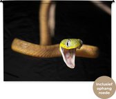 Wandkleed Dieren - Portret van een slang op een zwarte achtergrond Wandkleed katoen 180x135 cm - Wandtapijt met foto