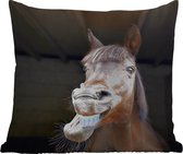 Buitenkussens - Tuin - Paard met grappig gezicht - 60x60 cm