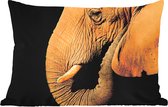 Buitenkussens - Tuin - Olifant - Dieren - Close up - Zwart - 50x30 cm