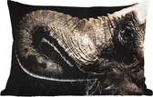 Buitenkussens - Tuin - Olifant - Dieren - Zwart - Natuur - 50x30 cm