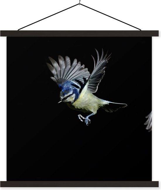 Porte-affiche avec affiche - Affiche scolaire - Vogels - Ressorts - Zwart - 90x90 cm - Lattes noires