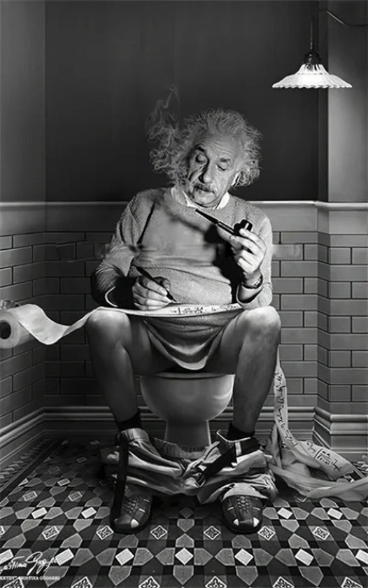 Allernieuwste.nl® Canvas Schilderij Einstein op de WC - Humor - Badkamer - 30 x 40 cm - Zwart/Wit