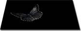 Papillon Inductie Beschermer - Antislip Afdekmat - 90x52 - Vlinder zwart-wit